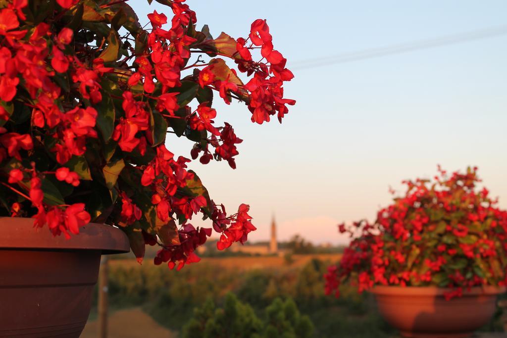 Agriturismo Le Casette 카스텔베트로 외부 사진